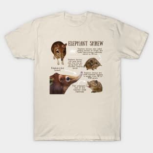 Animal Facts - Elephant Shrew T-Shirt